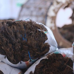 20231007_110547_0000 20231007_110547_0000