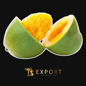 rsz_1whatsapp_image_2023-08-17_at_60240_pm rsz_1whatsapp_image_2023-08-17_at_60240_pm